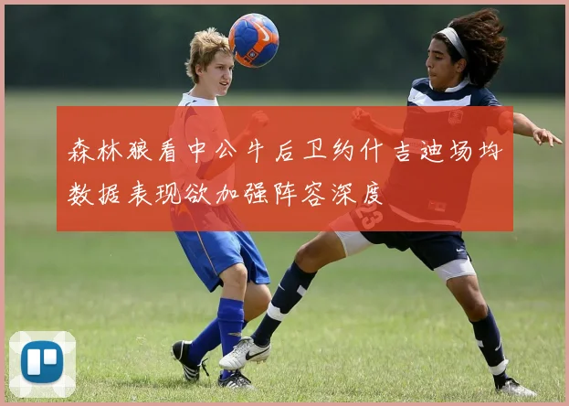 森林狼看中公牛后卫约什吉迪场均数据表现欲加强阵容深度