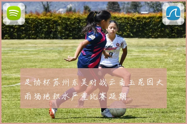 足协杯苏州东吴对战云南玉昆因大雨场地积水严重比赛延期