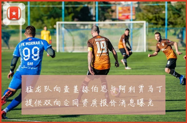 猛龙队向查基赫伯恩与阿利贾马丁提供双向合同资质报价消息曝光